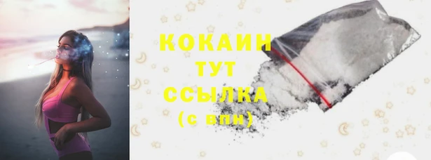 шишки Карталы